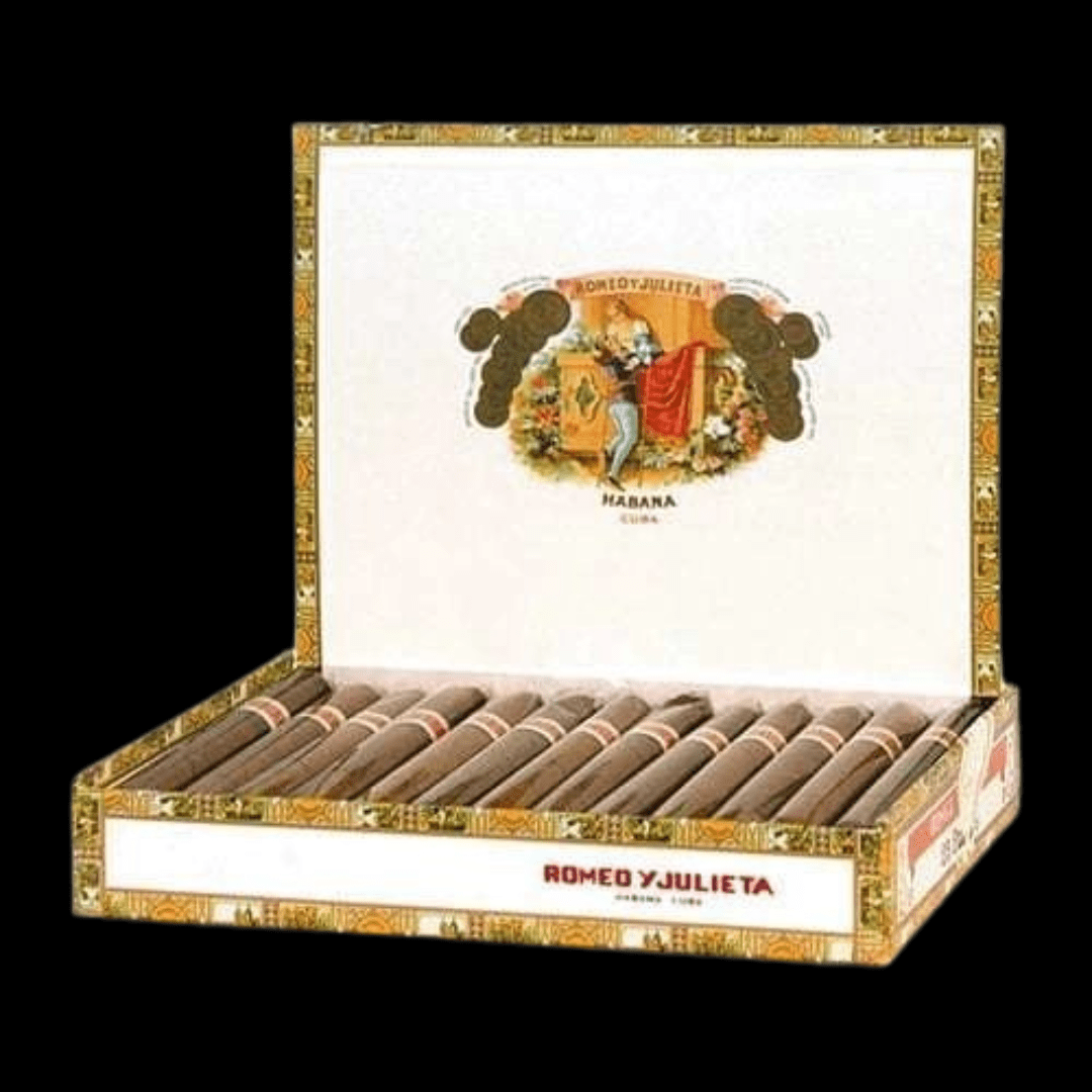 Diseño sin título - 2024-01-06T100939.309