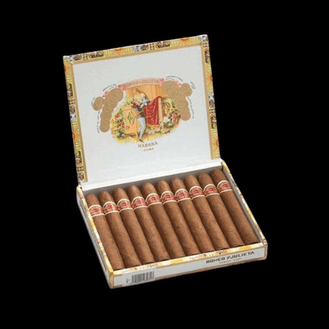 Diseño sin título - 2024-01-06T114703.636