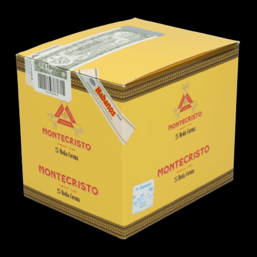 Diseño sin título - 2024-01-08T143226.478