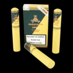 Diseño sin título – 2024-01-08T160815.182