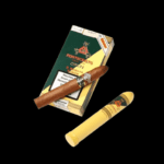 Diseño sin título – 2024-01-09T091232.385