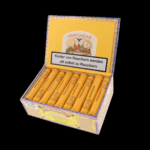 Diseño sin título – 2024-01-11T161205.638