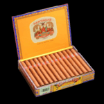 Diseño sin título – 2024-01-11T162223.304