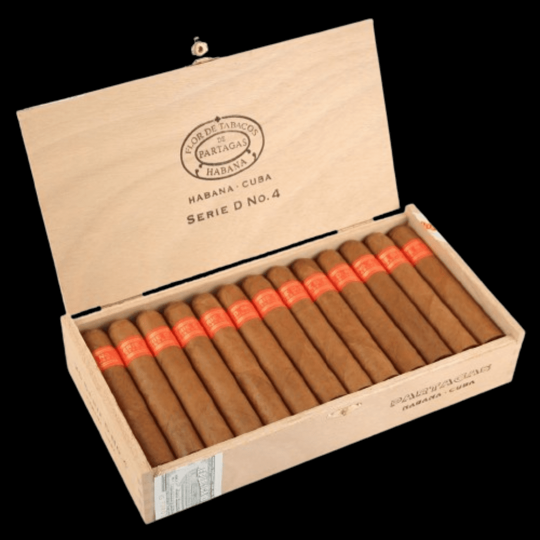 Diseño sin título - 2024-01-12T102316.409