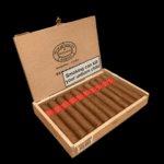 Diseño sin título – 2024-01-12T102346.293