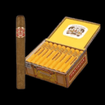 Diseño sin título – 2024-01-12T102749.230