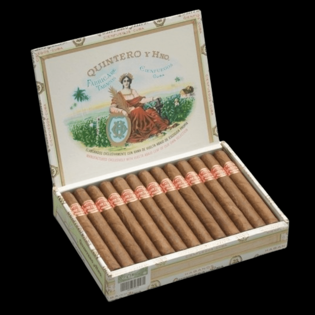 Diseño sin título - 2024-01-12T111528.617