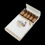 Diseño sin título – 2024-01-12T113103.547