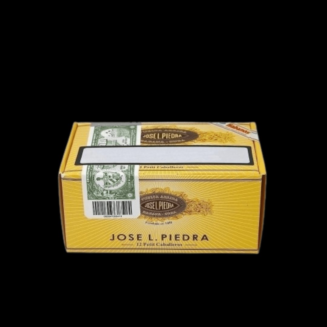 Diseño sin título - 2024-01-12T154838.629