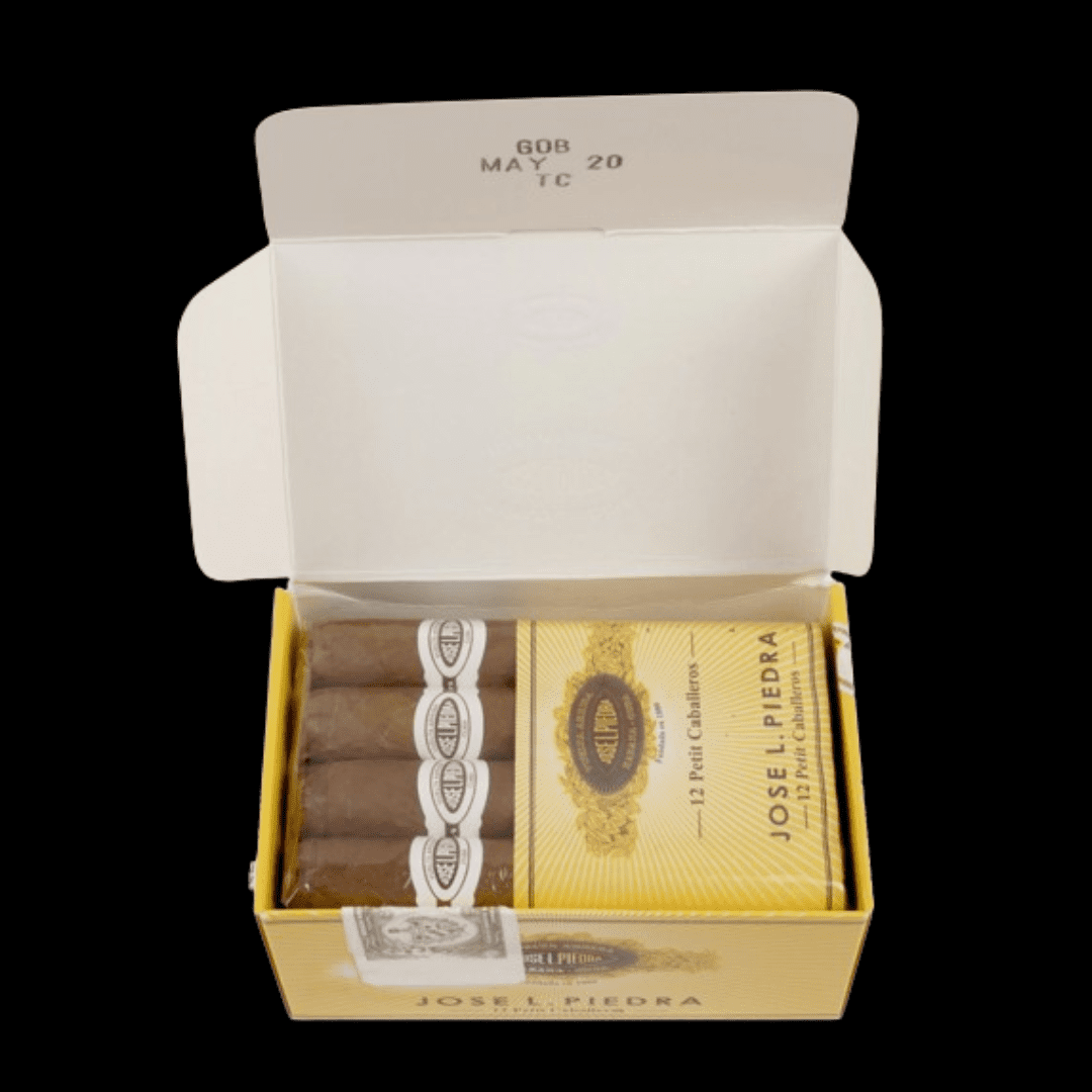 Diseño sin título - 2024-01-12T154854.184