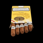 Diseño sin título – 2024-01-12T161741.051