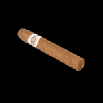 Diseño sin título – 2024-01-12T161741.051