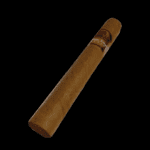 Diseño sin título – 2024-01-13T121004.681