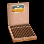 Diseño sin título – 2024-01-15T160418.761