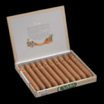 Diseño sin título – 2024-01-15T161728.342