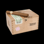 Diseño sin título – 2024-01-19T083144.626