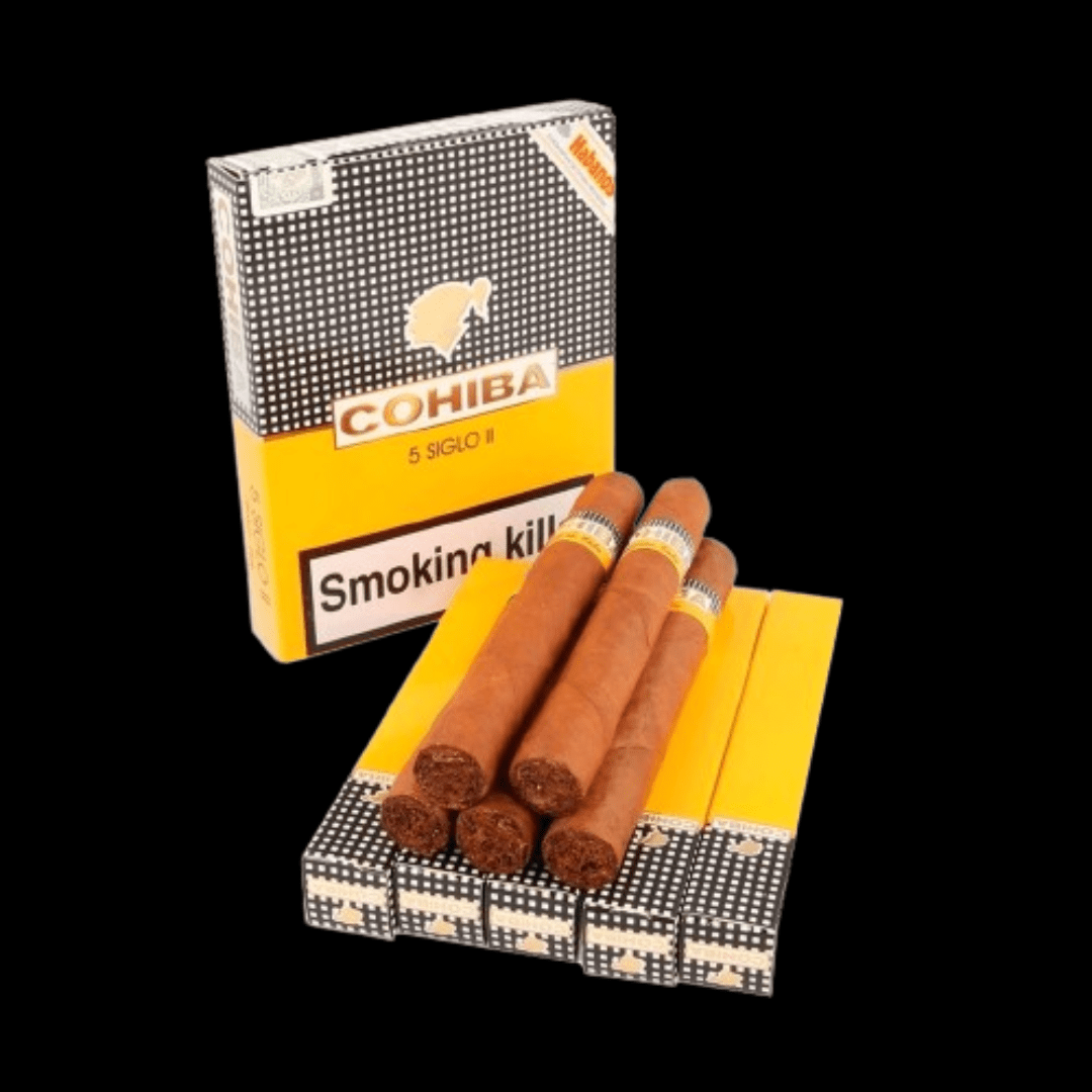 Diseño sin título - 2024-01-19T111151.201