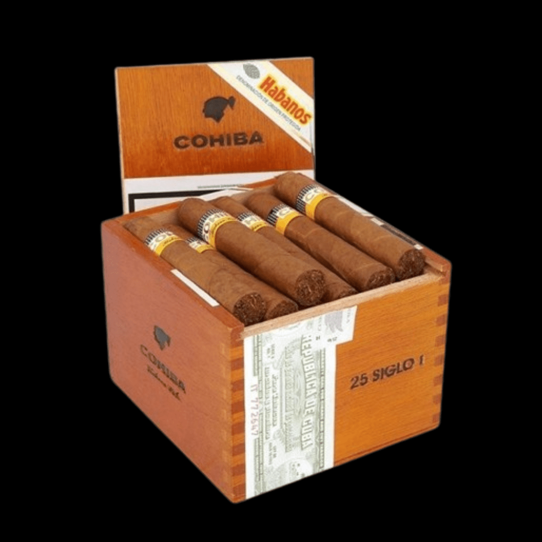 Diseño sin título - 2024-01-19T111524.556