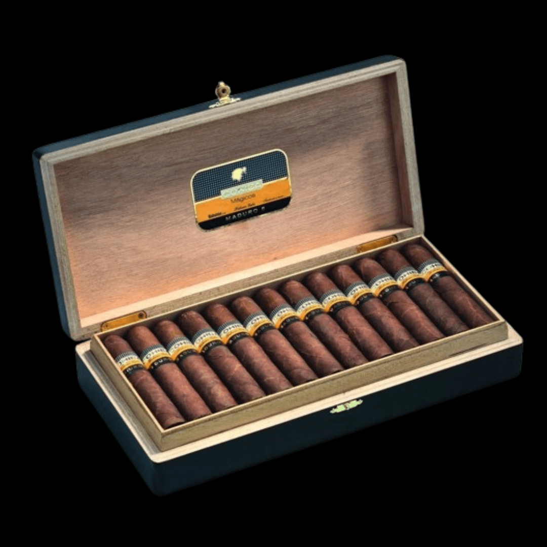 Diseño sin título - 2024-01-19T113124.630