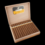 Diseño sin título – 2024-01-19T114123.923