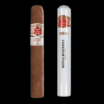 Diseño sin título – 2024-01-19T162509.059