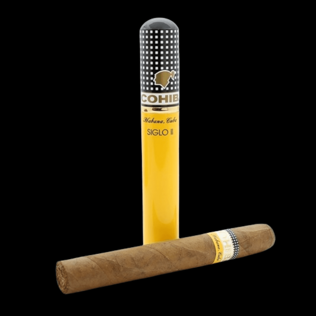 Diseño sin título - 2024-01-22T105910.478