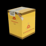 Online Store Instagram Post (16)