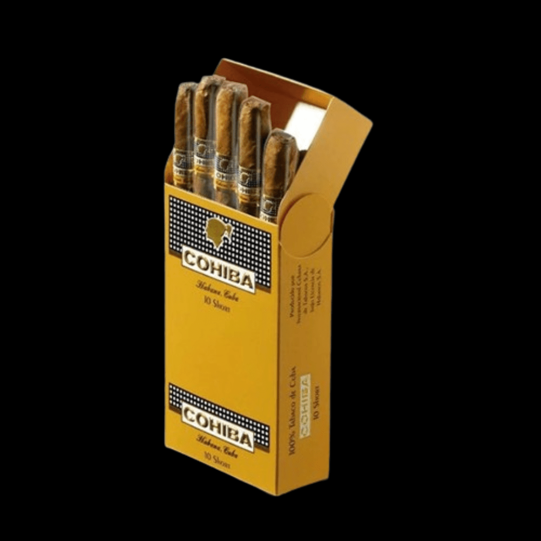 Diseño sin título - 2024-01-13T095508.224