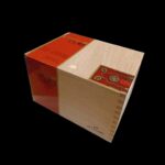 Diseño sin título – 2024-01-24T142403.160