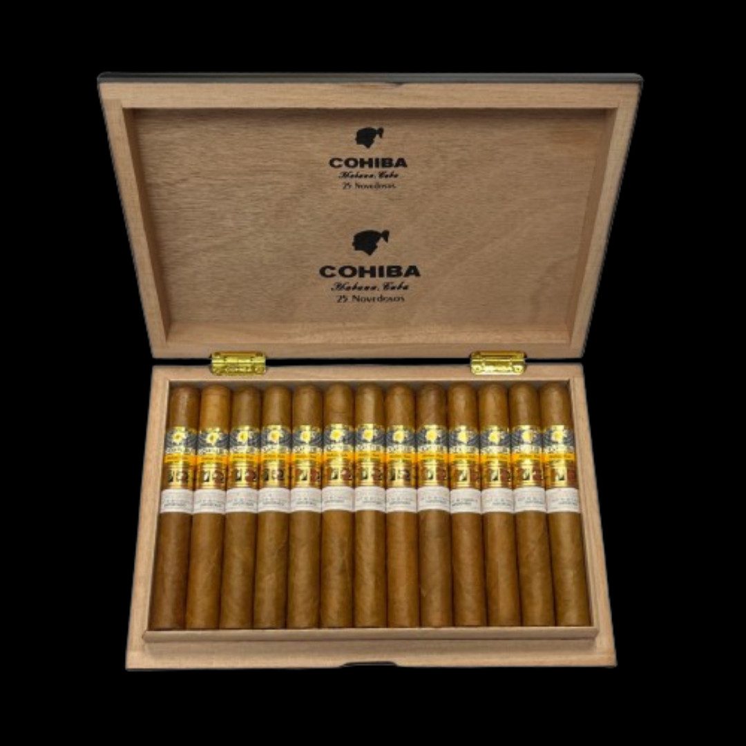 Diseño sin título - 2024-01-26T123320.618