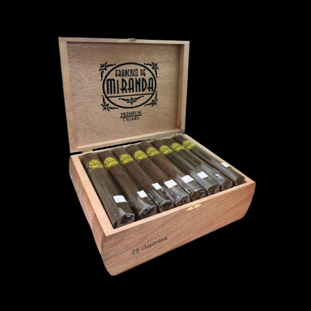 Diseño sin título - 2024-02-09T084105.204