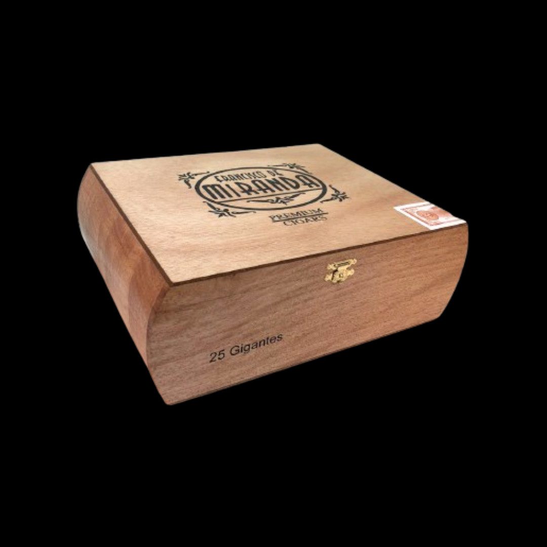 Diseño sin título - 2024-02-09T084206.113