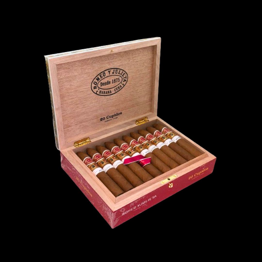 Diseño sin título - 2024-02-22T125756.658