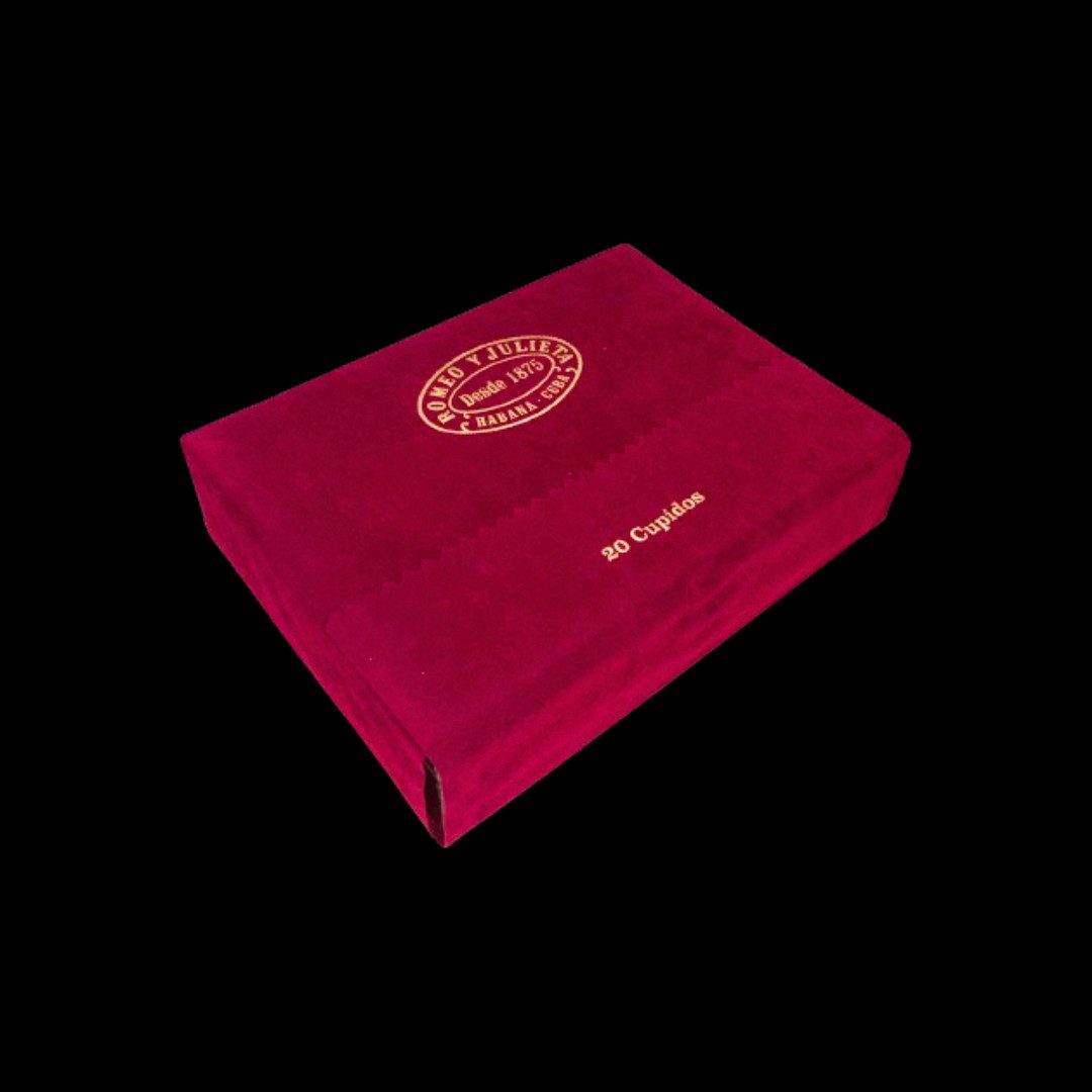 Diseño sin título - 2024-02-22T125835.775