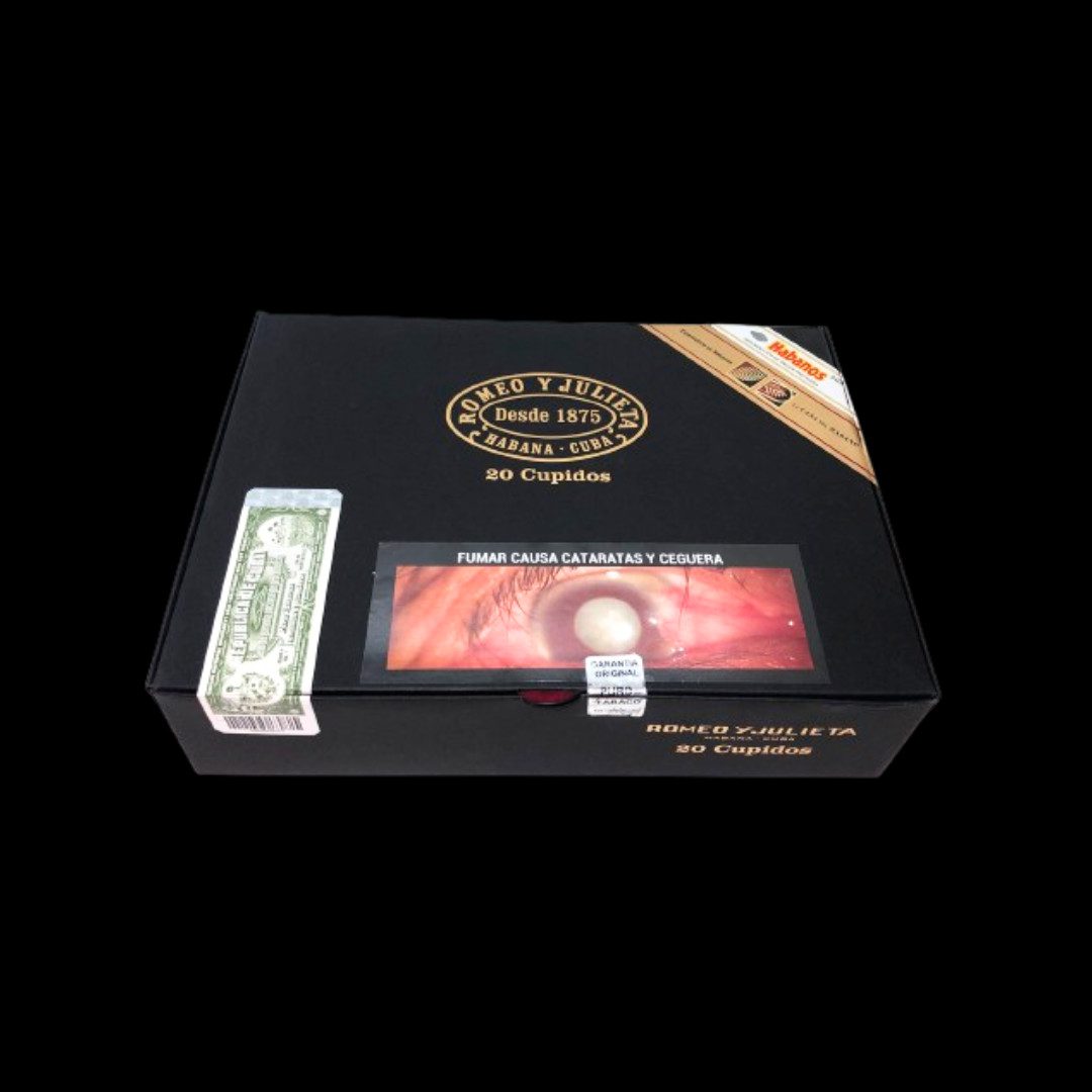 Diseño sin título - 2024-02-22T130048.385