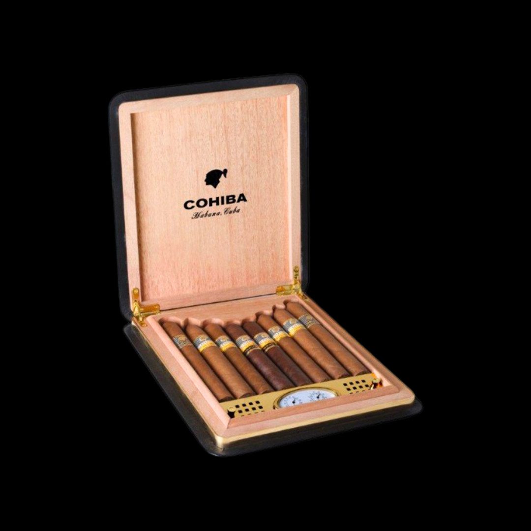 Diseño sin título - 2024-05-04T091253.094