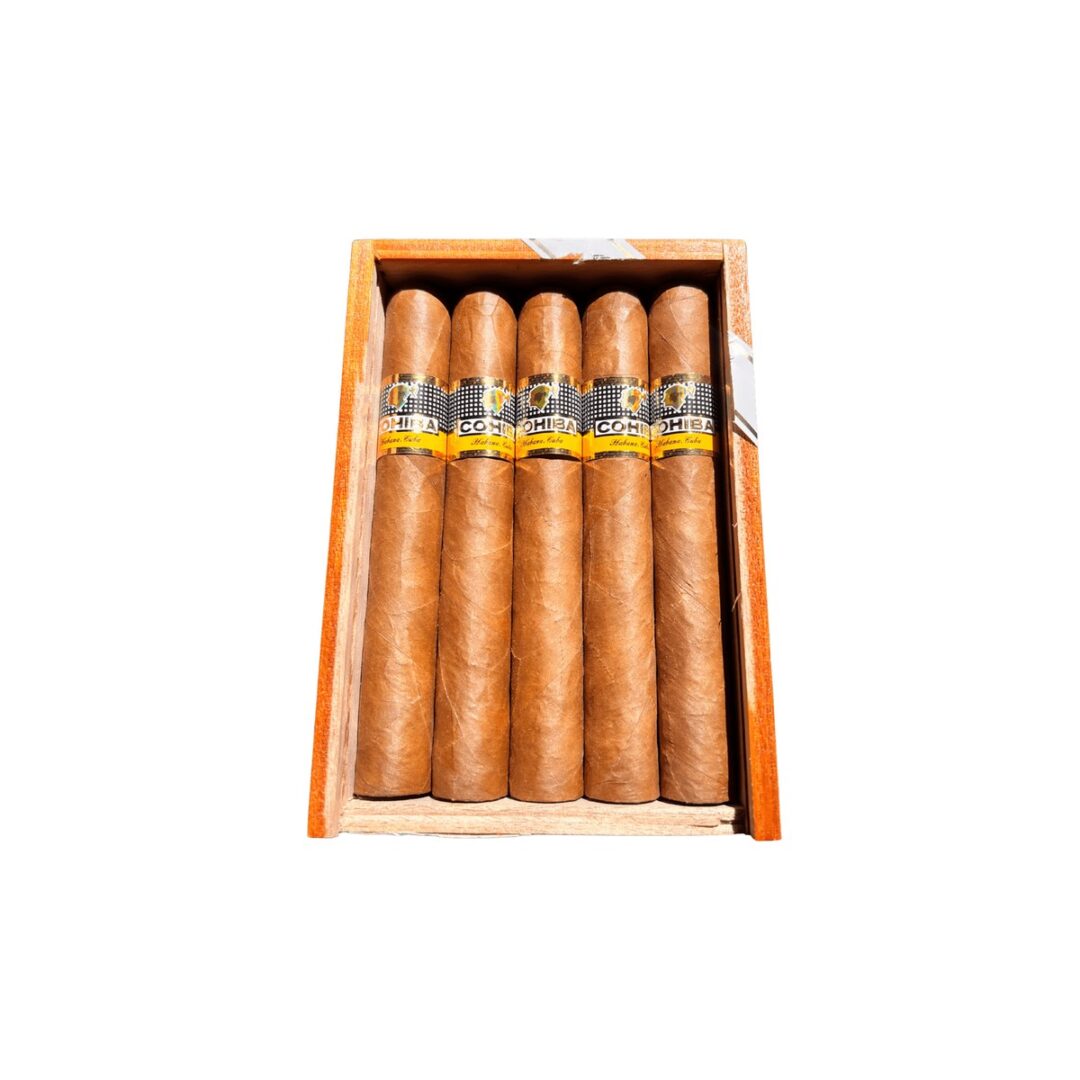 Cohiba Siglo VI caja x10 und.